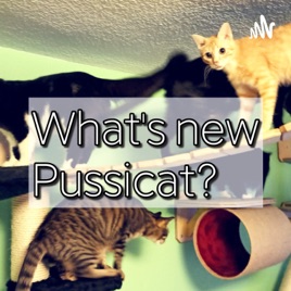 What's New Pussicat?