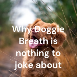 Why Doggie Breath is nothing to joke about