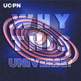 Why This Universe?