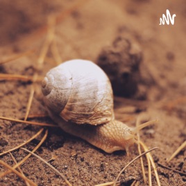 Why You Must Include SNAIL Meat In Your Diet