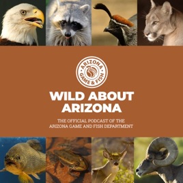 Wild About Arizona