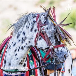 Wild Horses Thunder - The Journal
