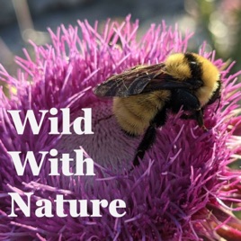 Wild With Nature