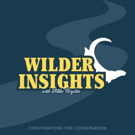 Wilder Insights with Mike Bryden