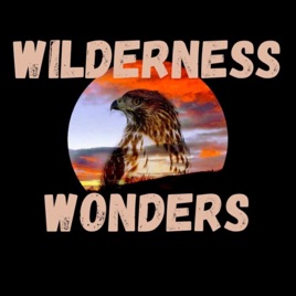 Wilderness Wonders Podcast