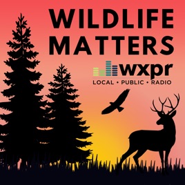 Wildlife Matters