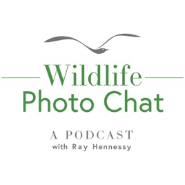 Wildlife Photo Chat