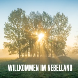 Willkommen im Nebelland