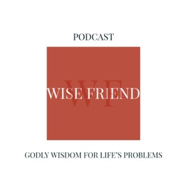 Wise Friend