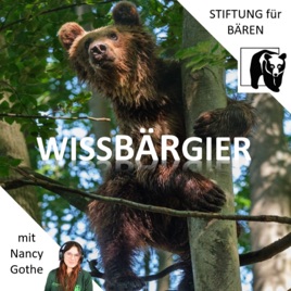 WissBärGier