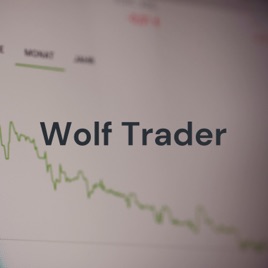 Wolf Trader - do zero ao cem em OB