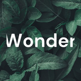 Wonder