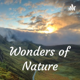 Wonders of Nature