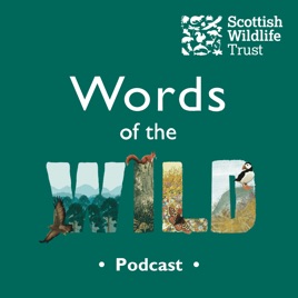 Words of the Wild