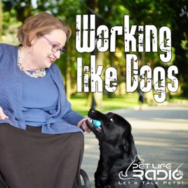 Working Like Dogs - Service Dogs and Working Dogs - Pet Life Radio Original