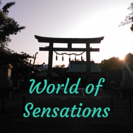 World of Sensations