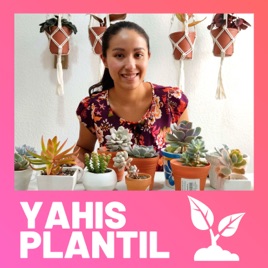Yahis Plantil