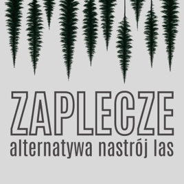 ZAPLECZE alternatywa nastrój las