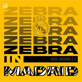 Zebra in Madrid