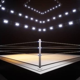 Zeguetman Wrestling Podcast (ZWP)
