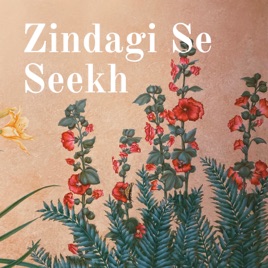 Zindagi Se Seekh