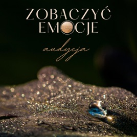 Zobaczyć emocje- audycja