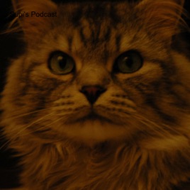 Zupi's Podcast