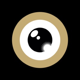 Zurich Film Festival